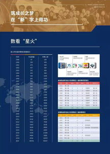 星火筑梦人：揭秘网络错误背后的故事与解决方案，助力梦想的实现