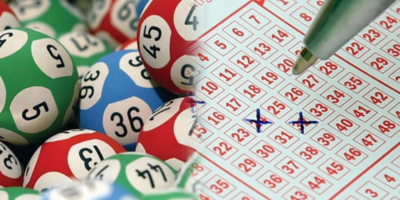 一肖一码一特一中|收益成语分析落实_探险版.2.202 一肖一码一特一中|收益成语分析落实_探险版.2.202